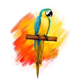 Попугай Ара