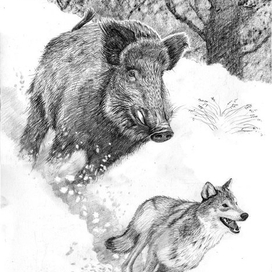  Иллюстрация к повести В.А.Потиевского "Мага уводит стаю" 