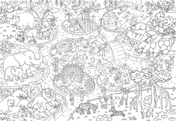 Зоопарк.Раскраска . 