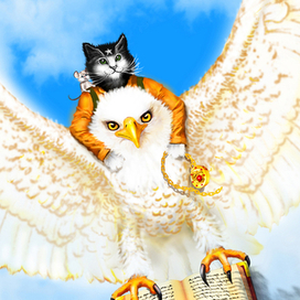 обложка для книжки