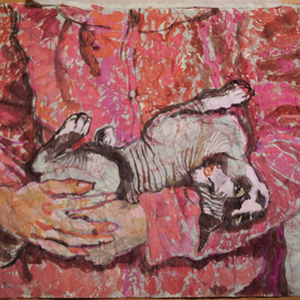 кошка Бенечка на ручках