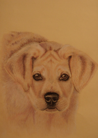 Грустный пес Пиф