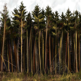 Задумчивый лес