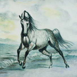 На побережье