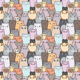  Паттерн с котиками
