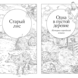 "Долгая дорога домой", (иллюстрации -1)