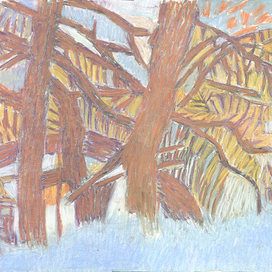 Старые деревья