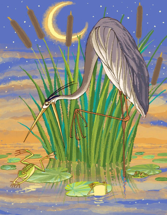 Азбука: Цапля