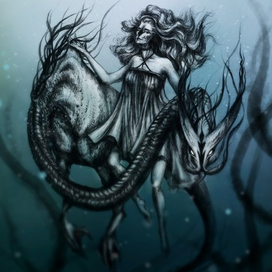 подводный мир