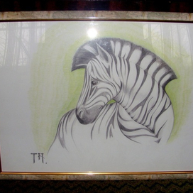 Сафари "Зебра"