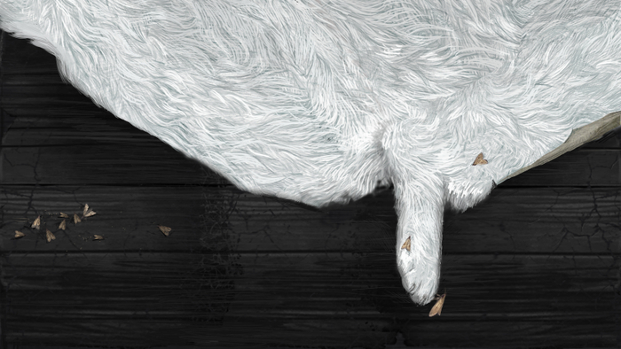 для титров фильма Наты Шленовой "Кролик, енот, лисичка."