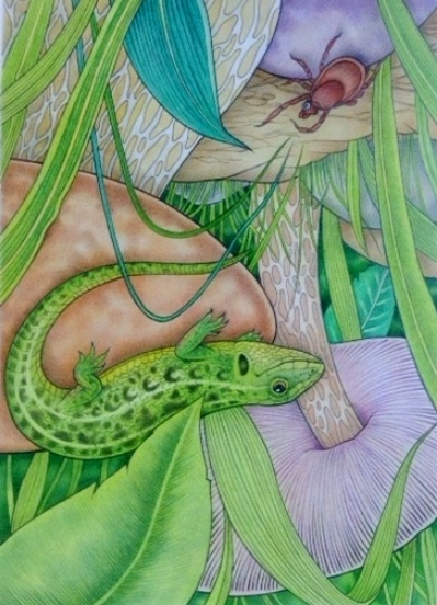 Осторожно,клещ!