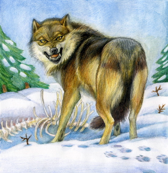  "Волк - зубами щёлк".