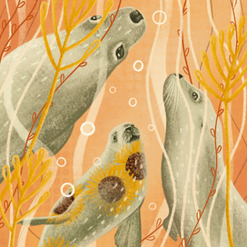 Цветочные тюлени