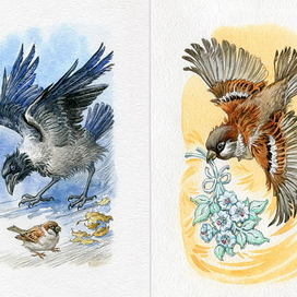 К.Паустовский "Растрепанный воробей" 4