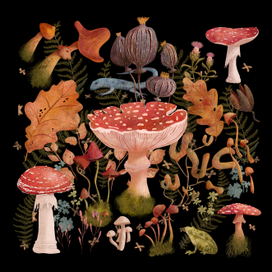 Мир растений