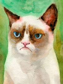 Grumpy cat
