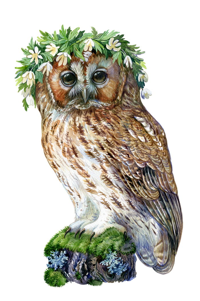 Неясыть Яся