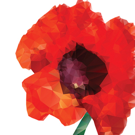 Цветы векторные