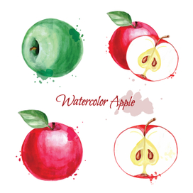 Яблоко. Акварель.