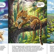 Книжка-передвижка о заповедниках России.
