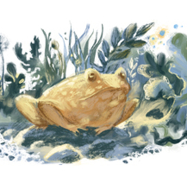 Аня из Авонлеи