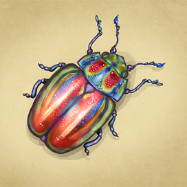 Блестящий жук. Иллюстрация. Цифровая живопись