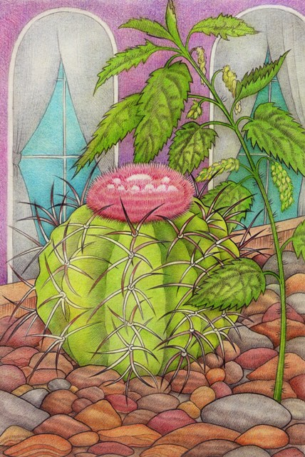 Кактус  и крапива