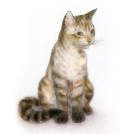 Полосатенькая