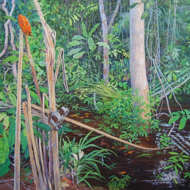 Царевна-лягушка