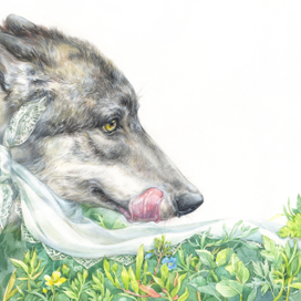 Волк и красная шапочка;)