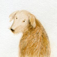 знакомый незнакомец