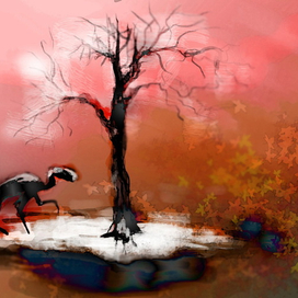 первые холода