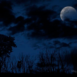 Полнолуние