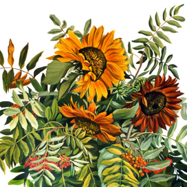 Подсолнухи с рябиной