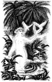 Бернаден де Сен - Пьер   Поль и Верджиния