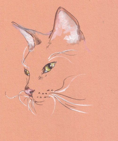 Кошачий портрет (х4)