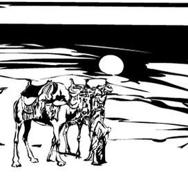 Лунная ночь