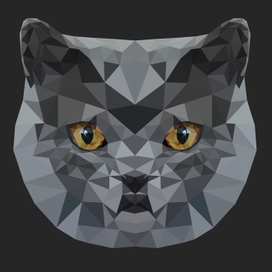 Кот в технике лоу-поли