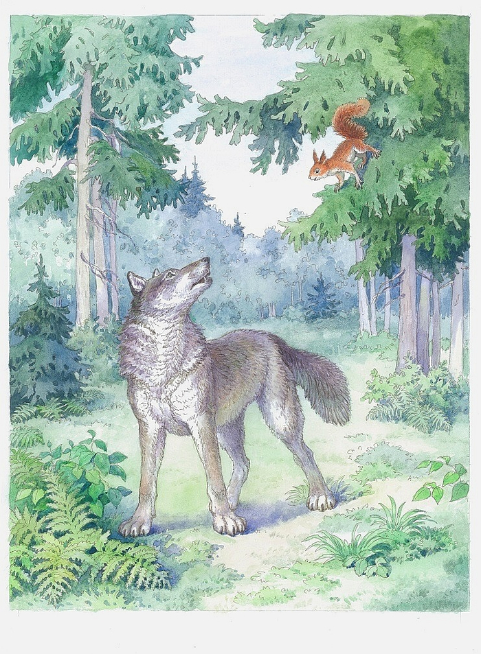 "Белка и волк" Л. Толстой