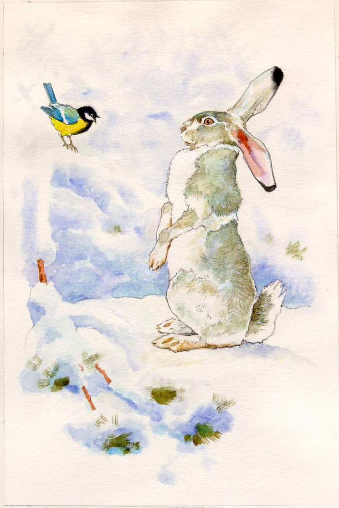 Иллюстрация к рассказам о животных 