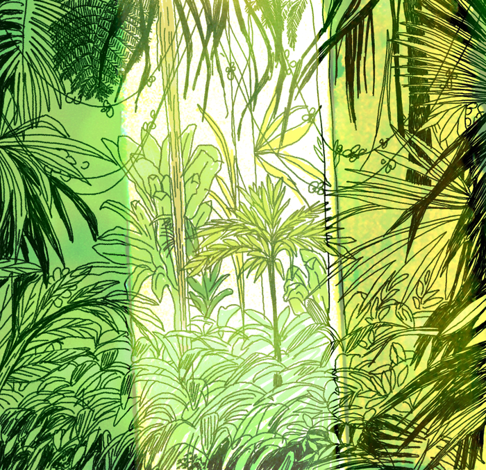 Тропический лес