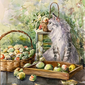 Пушистый кот и урожай.