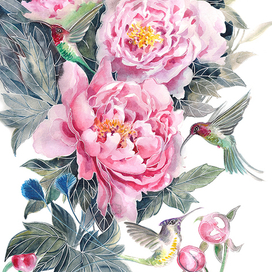 Розовые пионы и колибри