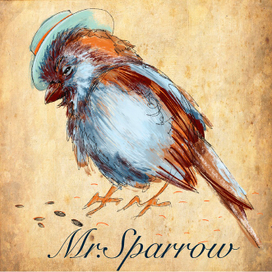 Mr.Sparrow