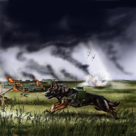 Собаки ВОВ. Связист.