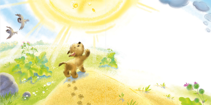 Солнце приставучее