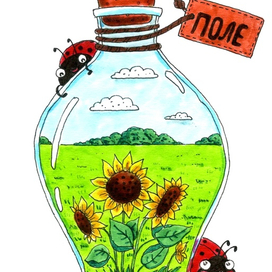 Подсолнухи