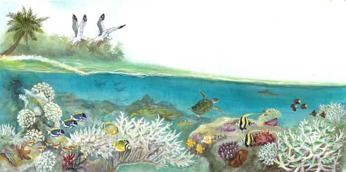 "Приключения принцессы-рыбки"