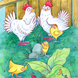 Курочки с цыплятами